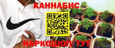 мяу мяу мука Кингисепп