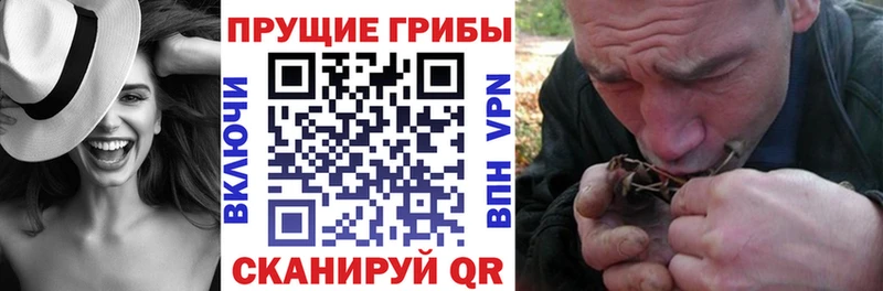 darknet как зайти  OMG зеркало  Мурино  Галлюциногенные грибы Psilocybine cubensis 