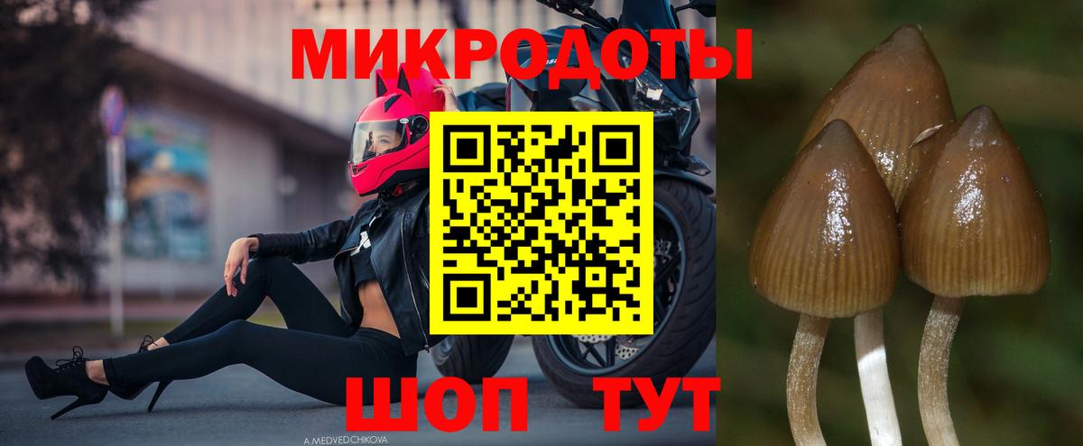где купить наркотик  Галлюциногенные грибы Cubensis  Вход с VPN  Мурино 