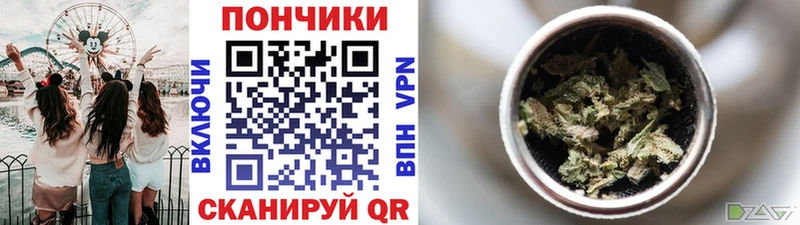 даркнет сайт Мурино Марихуана SATIVA & INDICA